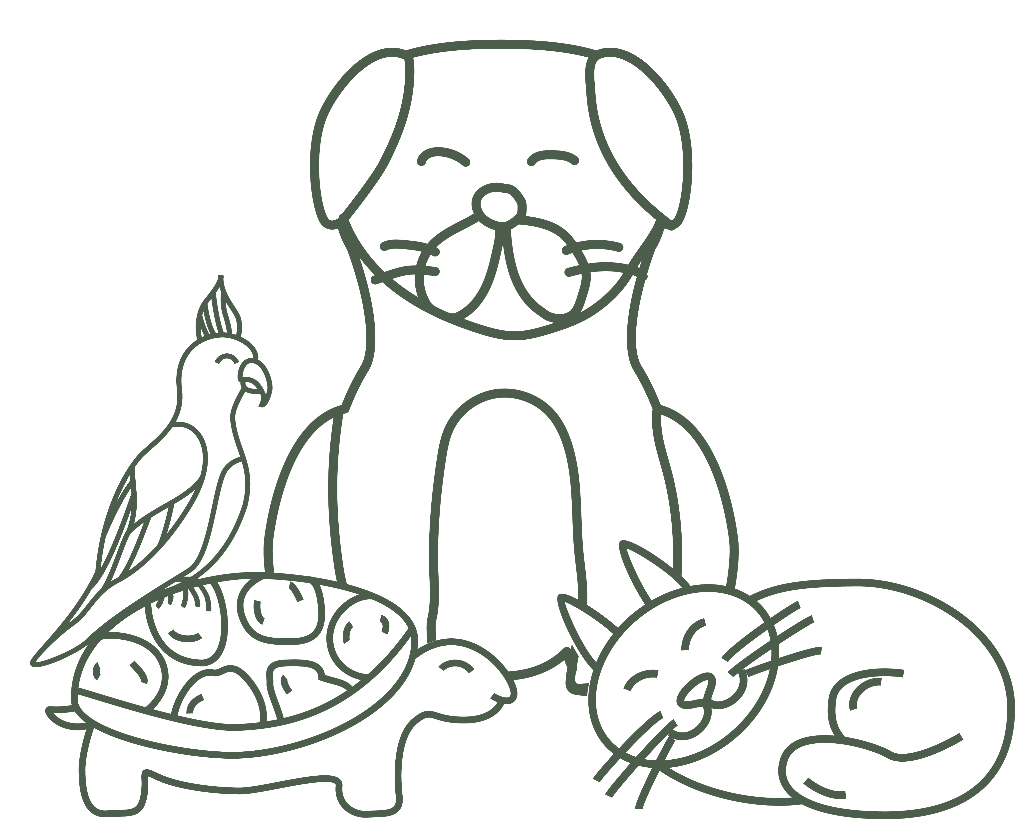 Built Around Your Pet